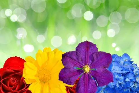 Spring flowers  Foto stock