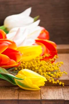 Spring flowers Stock Photos