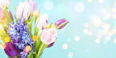 Spring flowers Фото