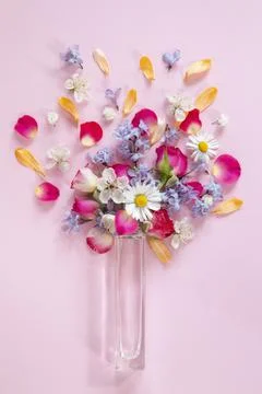 Spring flowers Фото