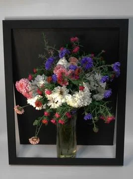 Spring flowers Foto stock