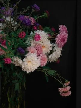 Spring flowers Foto stock