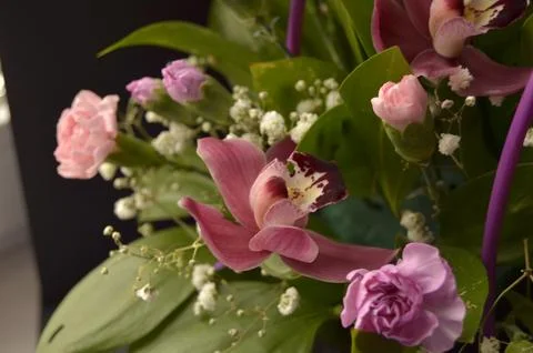 Spring flowers Foto stock