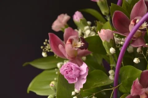 Spring flowers Foto stock