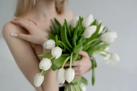 Spring flowers Stock Photos