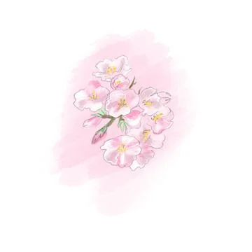 Spring flowers pink color cute mood Stock Illustration