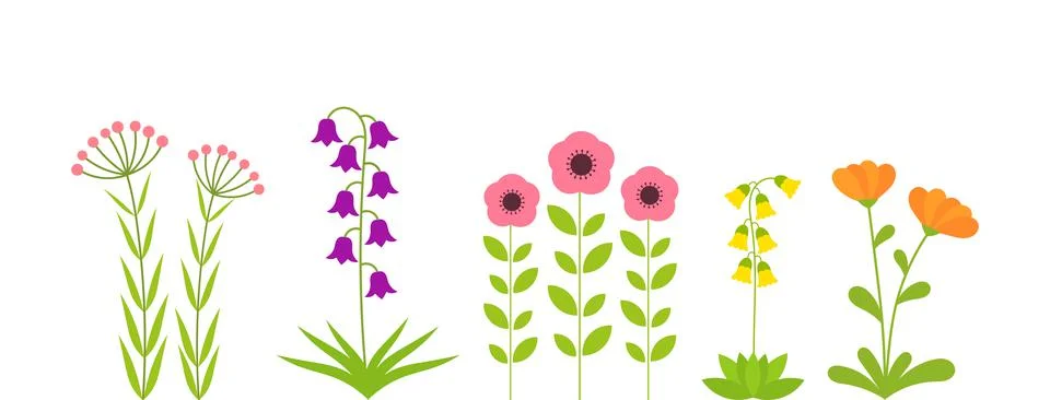 Spring flowers plants set. Vector illustration. Stock Illustration