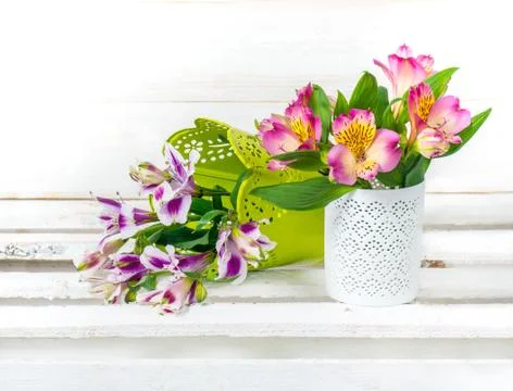 Spring flowers in pot Stock-Fotos