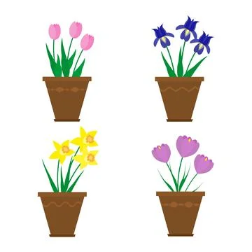 Spring flowers in pots. Stock Illustration