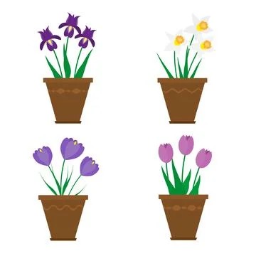 Spring flowers in pots isolated on white background. Stock Illustration