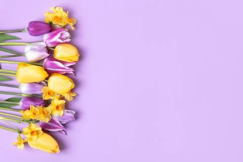 Spring flowers on purple background Stock Photos