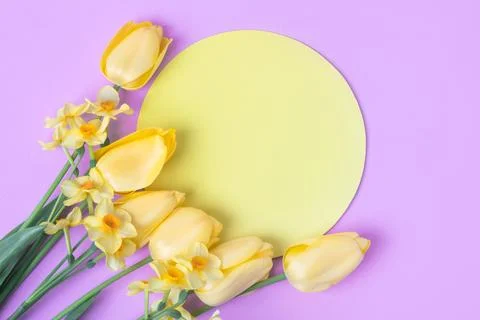 Spring flowers on purple background Stock Photos