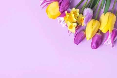 Spring flowers on purple background Stock Photos