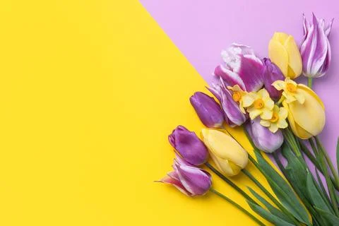 Spring flowers on purple background Stock Photos