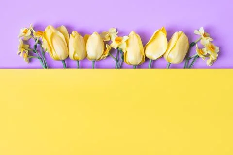 Spring flowers on purple background Stock Photos