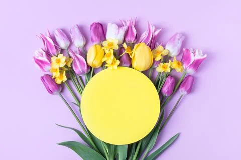 Spring flowers on purple background Stock Photos