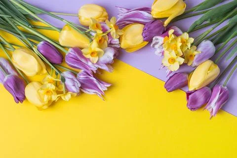 Spring flowers on purple background Stock Photos
