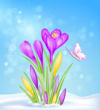 Spring flowers in the snow Stock Illustration