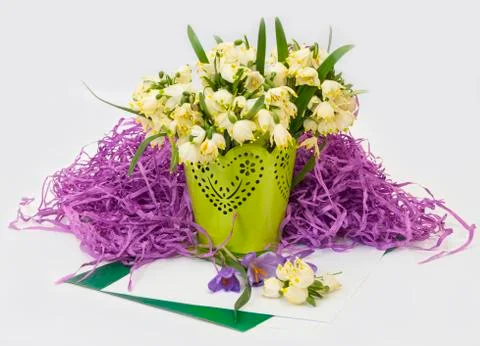 Spring flowers  snowdrops . Stock Photos