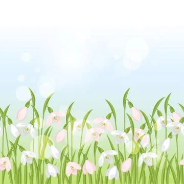 Spring flowers snowdrops seamless pattern horizontal border Ilustración de archivo