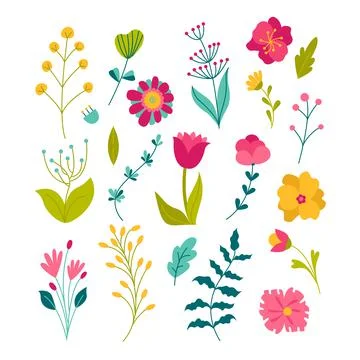 Spring Flowers. Summer and Spring blossom forest and garden flowers field iso Stock Illustration