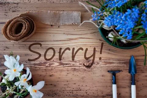Spring Flowers, Text Sorry Foto stock