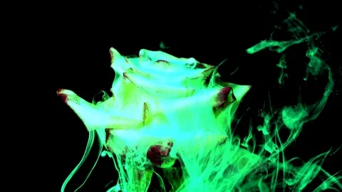 Spring Flowers In Timelapse Mode With Expressive Lighting Stock Footage 103590844