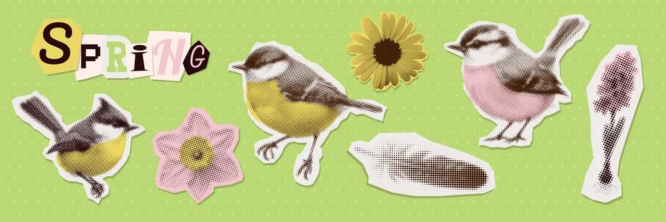 Spring Flowers, titmouse, feather halftone art collage cut outs set. Paper Stock Illustration