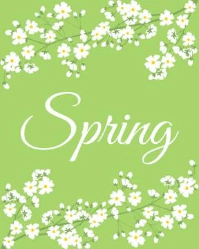 Spring flowers on tree branch Illustrazione stock