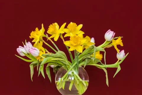 Spring flowers in a vase in front of red wall Stock Photos