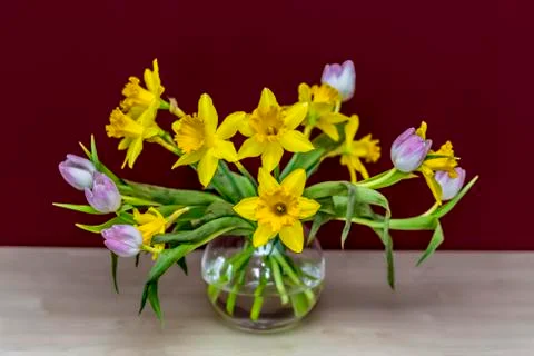 Spring flowers in a vase in front of red wall Stock Photos
