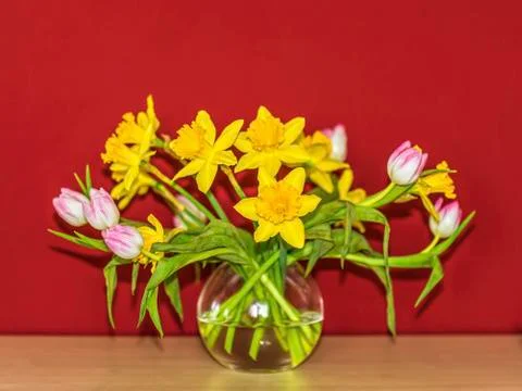 Spring flowers in a vase in front of red wall Stock Photos
