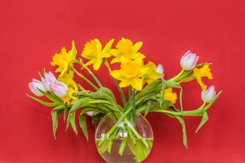 Spring flowers in a vase in front of red wall Stock Photos