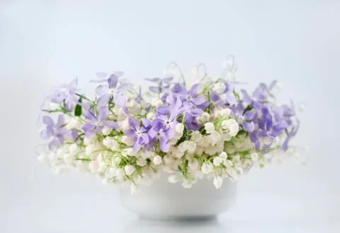 Spring flowers in vase Stock Photos