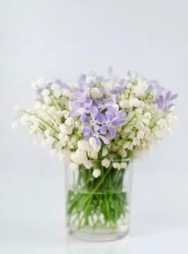 Spring flowers in vase Stock Photos