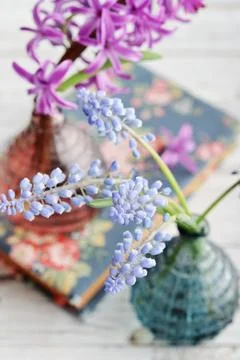 Spring flowers in vases Stock Photos