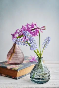 Spring flowers in vases Stock-Fotos