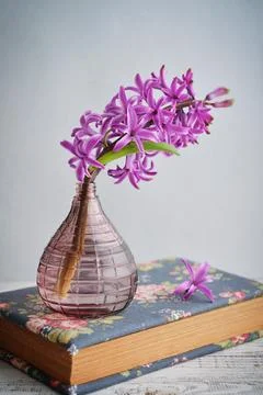 Spring flowers in vases Stock Photos