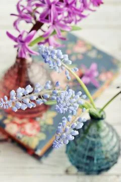 Spring flowers in vases Stock Photos