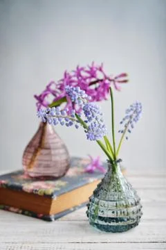 Spring flowers in vases Foto stock