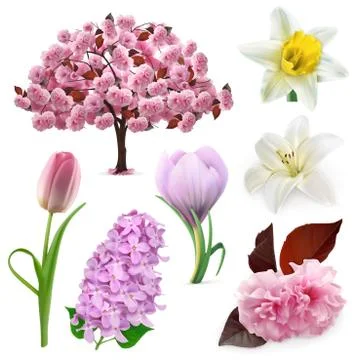 Spring flowers, vector icon set Stock Illustration