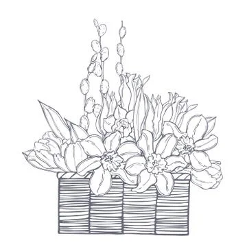 Spring  flowers.  Vector sketch  illustration Stock Illustration