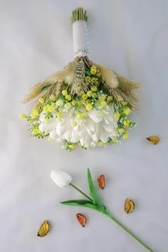 Spring flowers on a white background Stock Photos