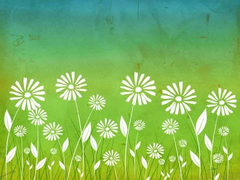 Spring flowers white daisy Stock Illustration
