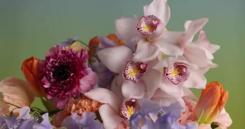Spring Flowers in the Wind Stock Footage 336027236