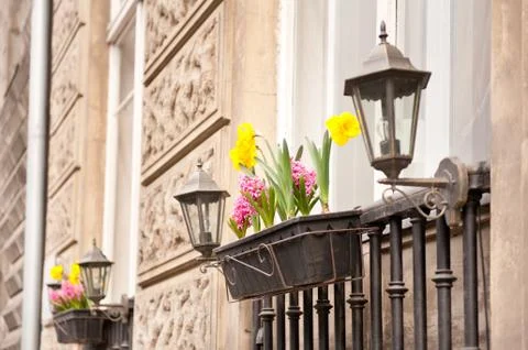 Spring flowers in window Stock Photos
