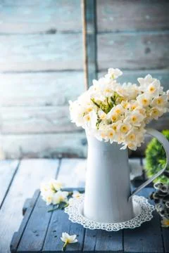 Spring flowers on wood. Rustic spring setting. Narcissus flowers Stock Photos