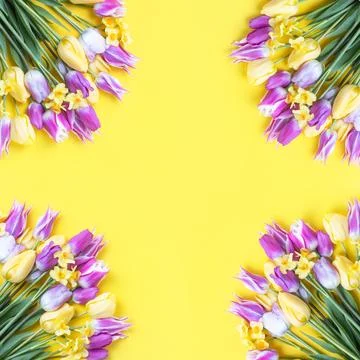 Spring flowers on yellow background Stock Photos