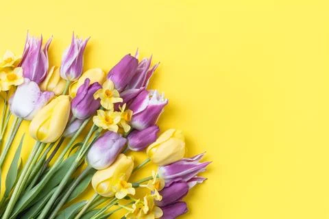 Spring flowers on yellow background Stock Photos