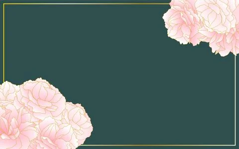 Spring flowers/plants, light pink gradient double cherry blossom (peony cherr Stock Illustration